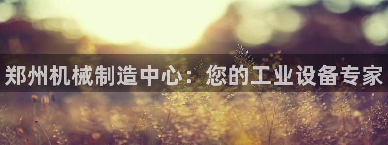 九游会提款安全吗：郑