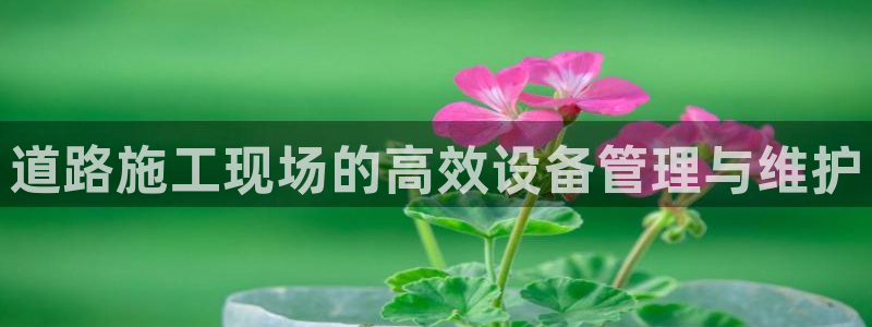 九游会网址在线玩