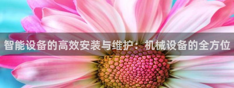 九游会进不去了