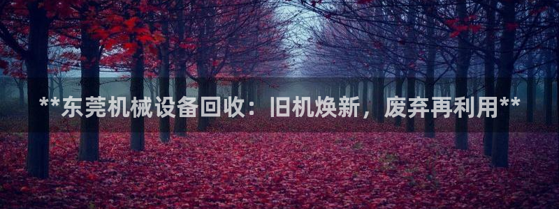 j9九游会官方登录