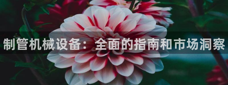 ag九游会登录j9入口