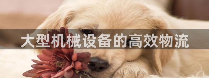 九游会线上平台