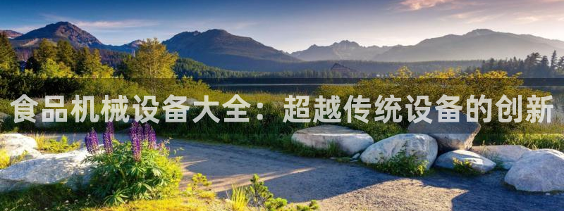 九游会平台稳定吗：食